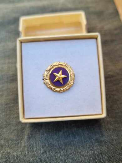 WW2 KIA Gold Star Mothers US Military Lapel Pin 1947